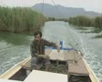 Man steering moving motorboat SD Footage