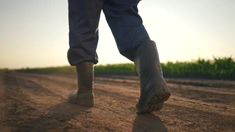 Man stepping carefully on dusty road. Farmer walking by field at sunset. Boots Stock Footage 320114199