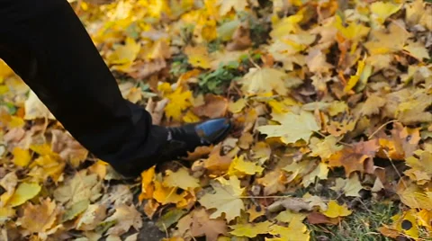 Man stepping on dead yellow leaves, autumn season Stock Footage 63886960