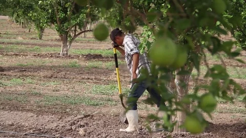 Man stepping over the dirt Stock Footage 82589917