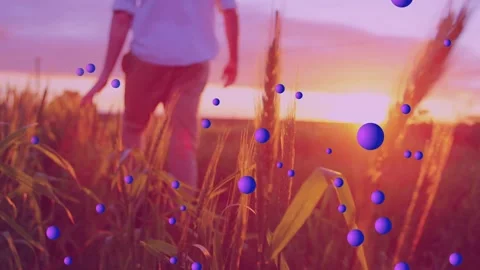 Man stepping walking through field purple spheres drifting enlarging over plants Stock Footage 333105981