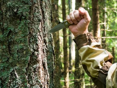 A man sticks a knife into a tree trunk Stock Photos