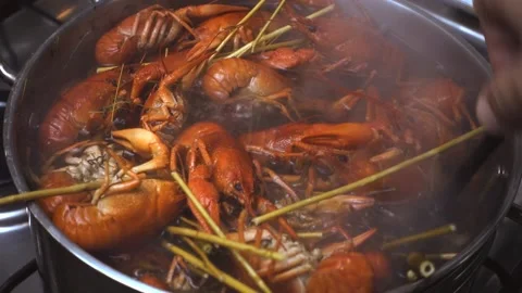 A man is stirring boiling crayfish in a saucepan on a gas stove, steam rises Stock Footage 162652872