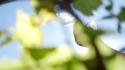 Man stirs wine in vineyard Video stock 64655505