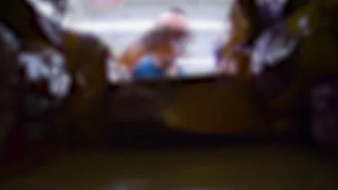 A man stocking shelves bag cat food at a grocery store back of shelf view b.. Stock Footage 231716308