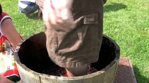 Man stomping grapes to make wine Stock Footage 273215