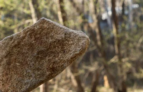 Man with a stone Stock-Fotos