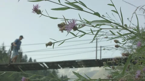 Man Stops In The Middle Of The Bridge To Take A Look Around  Stock Footage 94031326