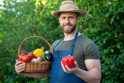 Man in straw hat hold basket full of vegetables. harvesting Stock Photos