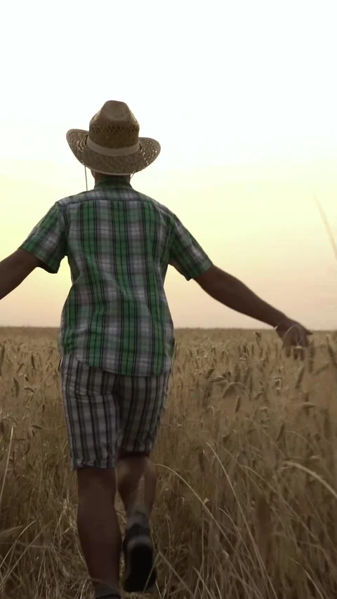 Man in straw hat runs through golden wheat field at sunset with open arms. Vídeos de archivo 345691826