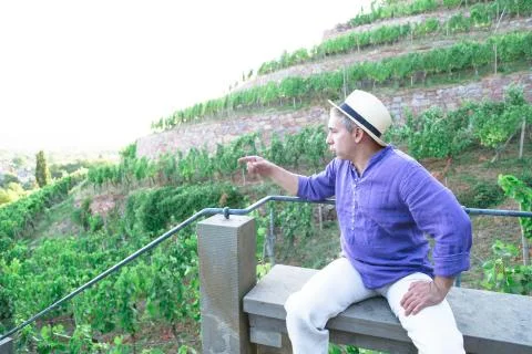 Man in straw hat sitting on bench in vineyard Stock Photos