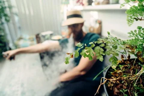 A man in a straw hat smokes through a veil of smoke. Tropical plants Foto stock