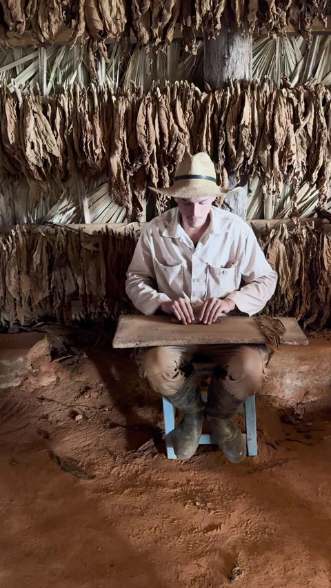 A man in a straw hat working with tobacco leaves on a table Stock Footage 313268484