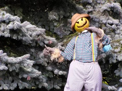 Man of straw Stock Photos