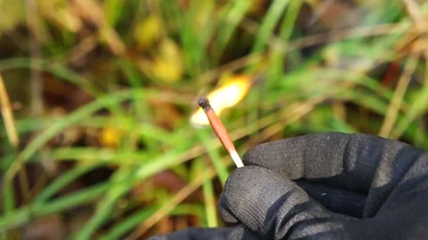Man Strikes a Match. Man strikes a match for making Campfires. Stock Footage 306517349