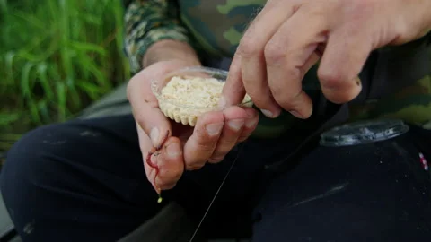 A man is stringing worms on a hook. Morning fishing on the lake Stock Footage 237362272