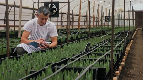 Man in a striped apron writes down readings in notebook in grieenhouse Stock-Footage 238628336
