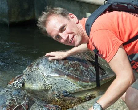 The man strokes an armor of a large turtle Stock Photos