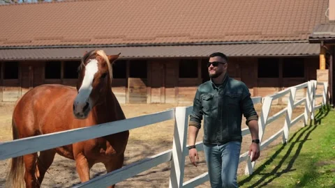 A man strokes a horse Stock Footage 240977823