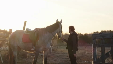 A man strokes a horse's face Video stock 193479367