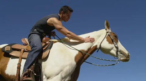 Man Strokes White & Brown Horse Stock Footage
