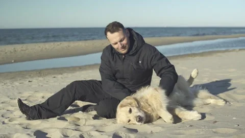 Man stroking and playing with his golden retriever sitting on a sea beach. Stock Footage 240740706