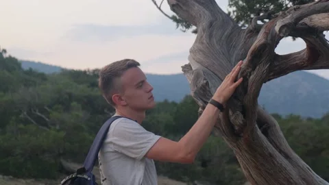 A man stroking the bark of a relict juniper with his hand 스톡 동영상 157820922
