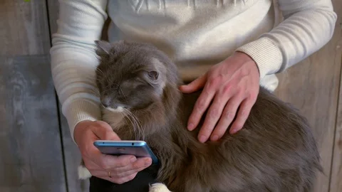 A man stroking a cat and using a smartphone Stock Footage 122603635