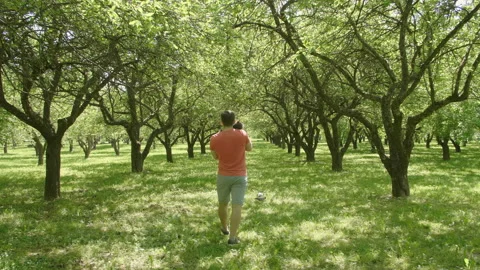 Man Stroking a Cat and walks through green trees alley in slow motion. 库存影片 110786472