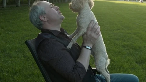 A man stroking a dog Stock Footage 75490023