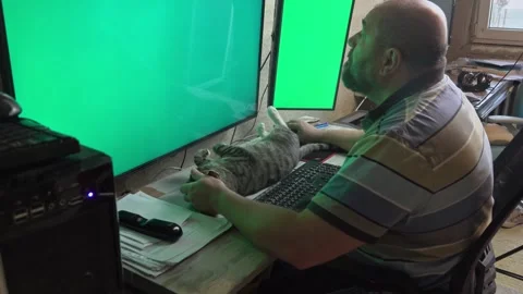 Man Stroking Happy Cat Stretched Out on Office Desk Stock Footage 336542099