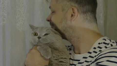 Man stroking his cat and talk with it. Close-up of cat's happy face. 库存影片 143979395