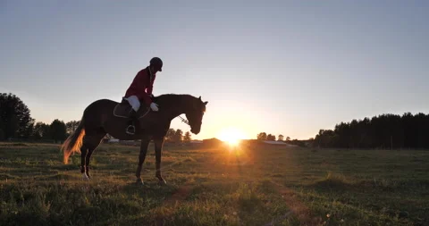 A man stroking a horse Stock-Footage 146834272