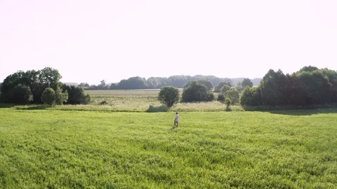 Man strolling on a field at dawn Video stock 118196361
