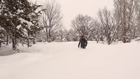 Man Struggling in Deep Snow in Winter Forest Extreme Cold Survival 库存影片 331064620
