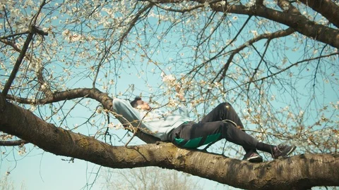Man student reading or learning on a tree branch relaxing in meadow paradise. 库存影片 107254983
