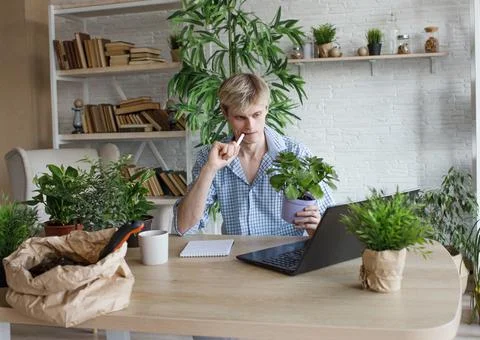 A man studies and takes notes with a laptop studying house plants, performs s Stock Photos