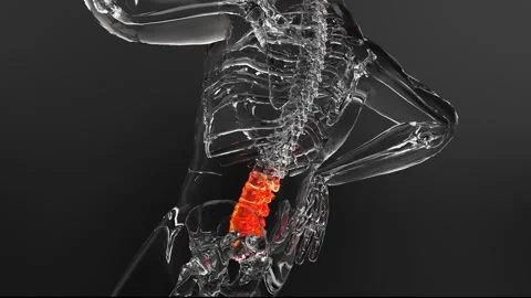 Man suffering Backbone pain, Human Skeleton  Anatomy, spine injury, Spine Trauma Stock Footage 249511324
