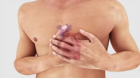 Man Suffering From Heart Attack Stock Footage 154399086