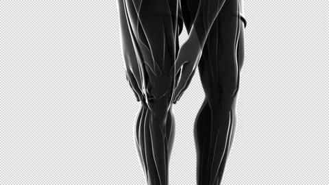 Man Suffering From knee Pain Version 2 動画素材 295273562