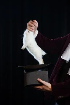 Man in suit pulling a rabbit out of the topper hat. close-up. Stock Photos