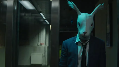 A man in a suit with rabbit mask in the elevator Stock-Footage 259659433