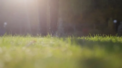 A man in a suit is walking on the grass Stock Footage 117907505