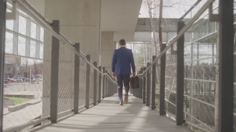 Man In Suit Walks With Briefcase Stock Footage 208786028