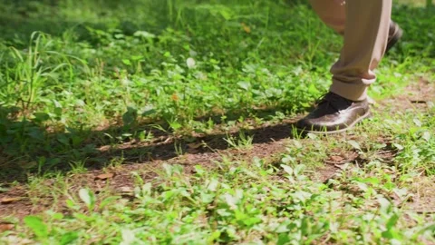 A man in a suit walks on the grass Stock Footage 329249734