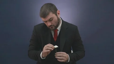 A man in a suit tears off the petals of a chamomile. Stock Footage 144738061