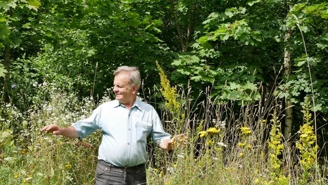 Man in a sunny meadow Stockbeeldmateriaal 116550316