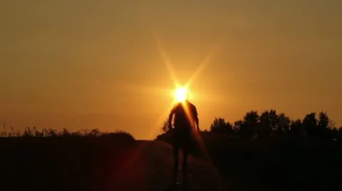 Man at sunset Stock Footage 11425579