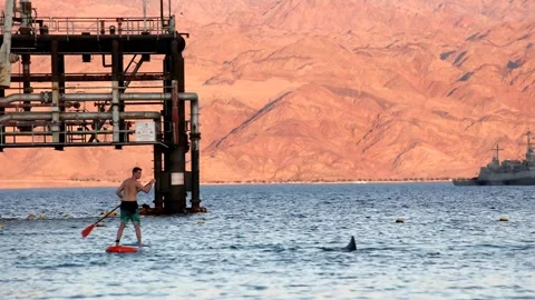 Man on SUP watching dolphins playing, Israeli missile boat in the background Stock Footage 280168752