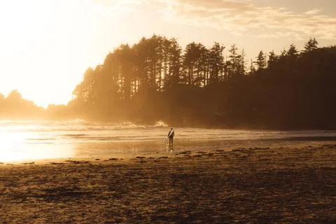 Man with surf walking on the the beach with forest behind while sunset Stock Photos
